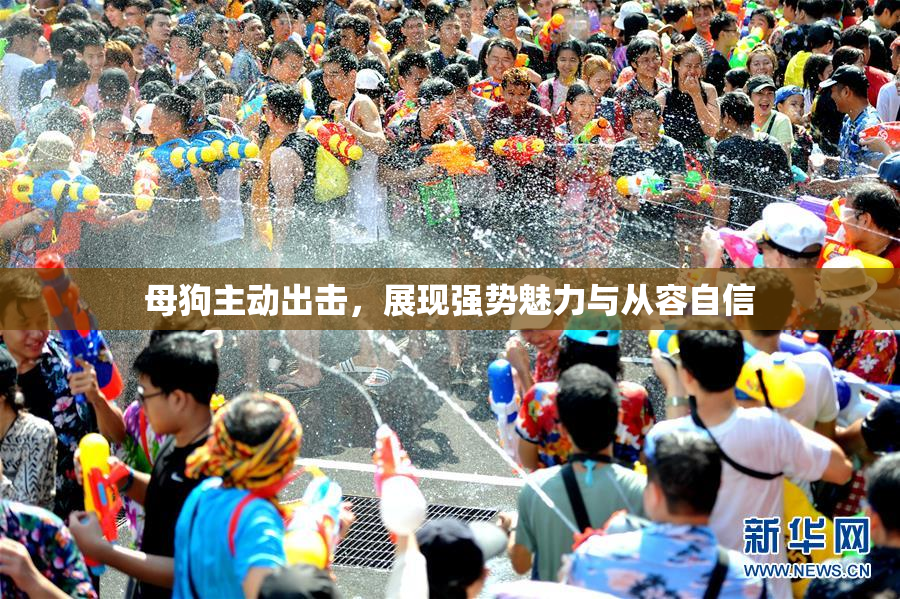 母狗主动出击，展现强势魅力与从容自信