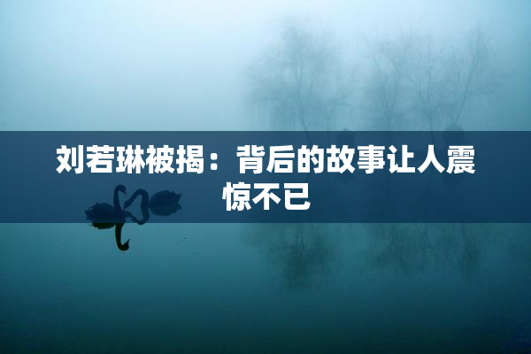 刘若琳被揭：背后的故事让人震惊不已