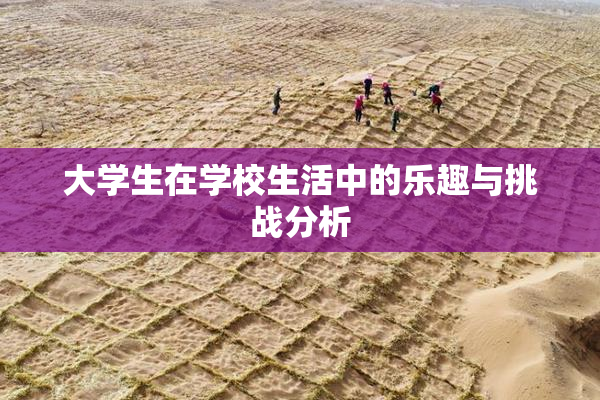 大学生在学校生活中的乐趣与挑战分析
