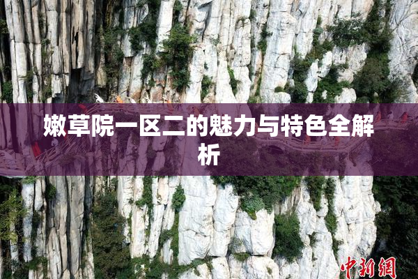 嫩草院一区二的魅力与特色全解析