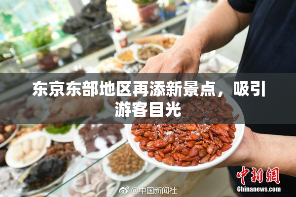东京东部地区再添新景点，吸引游客目光