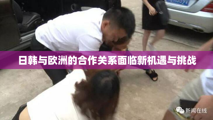日韩与欧洲的合作关系面临新机遇与挑战