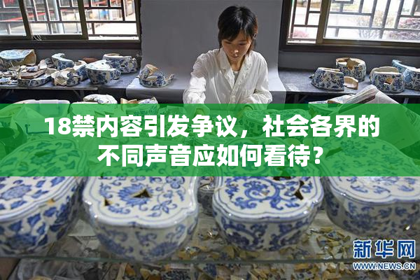 18禁内容引发争议，社会各界的不同声音应如何看待？