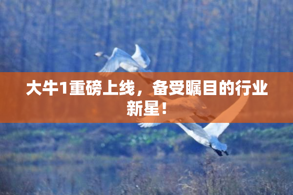 大牛1重磅上线，备受瞩目的行业新星！