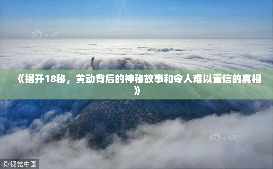 《揭开18秘，黄动背后的神秘故事和令人难以置信的真相》