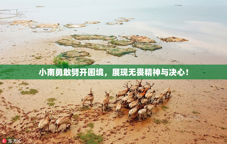 小南勇敢劈开困境，展现无畏精神与决心！
