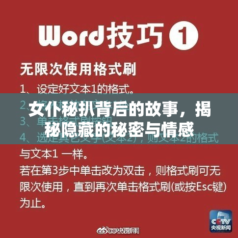 女仆秘扒背后的故事，揭秘隐藏的秘密与情感