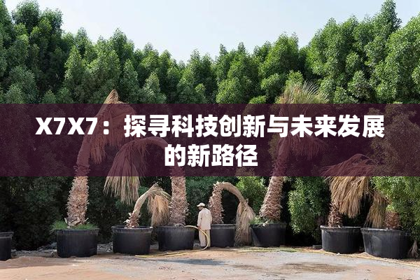 X7X7：探寻科技创新与未来发展的新路径