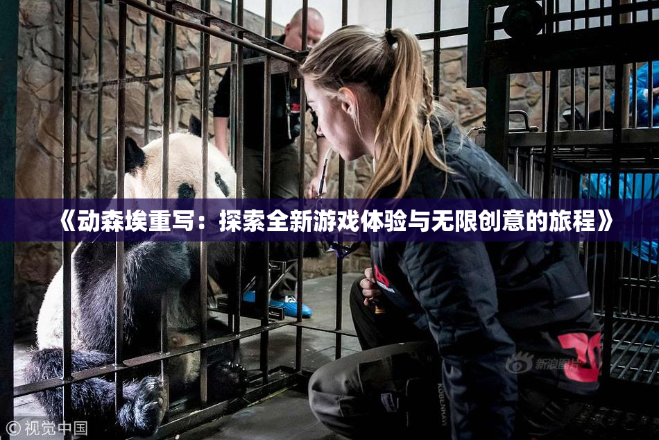 《动森埃重写：探索全新游戏体验与无限创意的旅程》