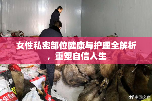 女性私密部位健康与护理全解析，重塑自信人生