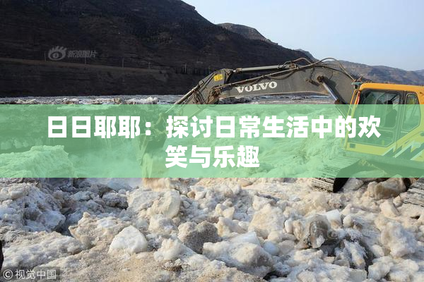 日日耶耶：探讨日常生活中的欢笑与乐趣