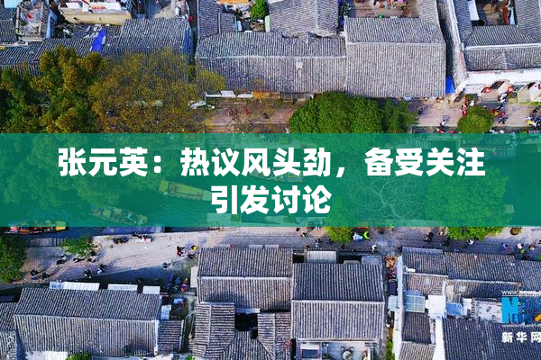 张元英：热议风头劲，备受关注引发讨论