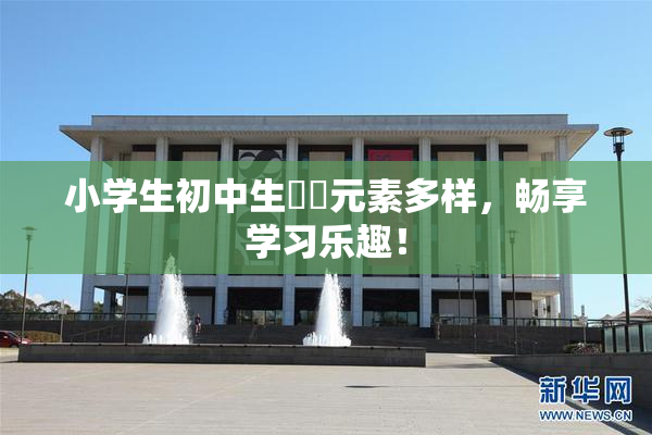 小学生初中生❌‌元素多样，畅享学习乐趣！