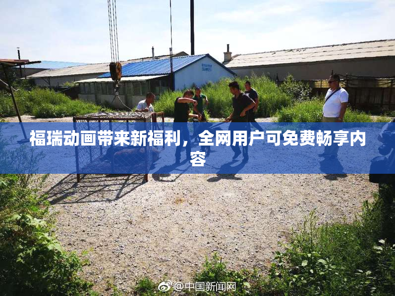 福瑞动画带来新福利，全网用户可免费畅享内容