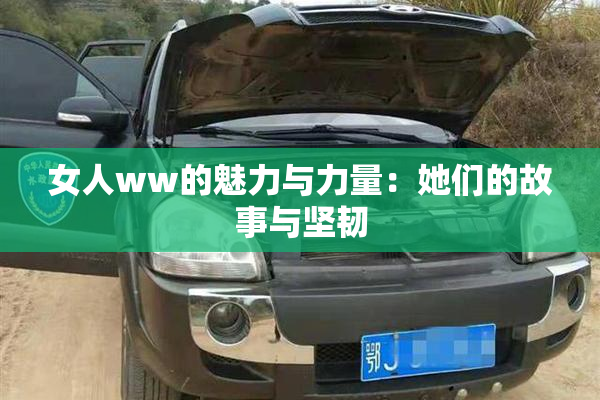 女人ww的魅力与力量：她们的故事与坚韧