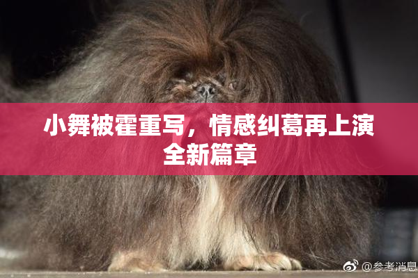 小舞被霍重写，情感纠葛再上演全新篇章