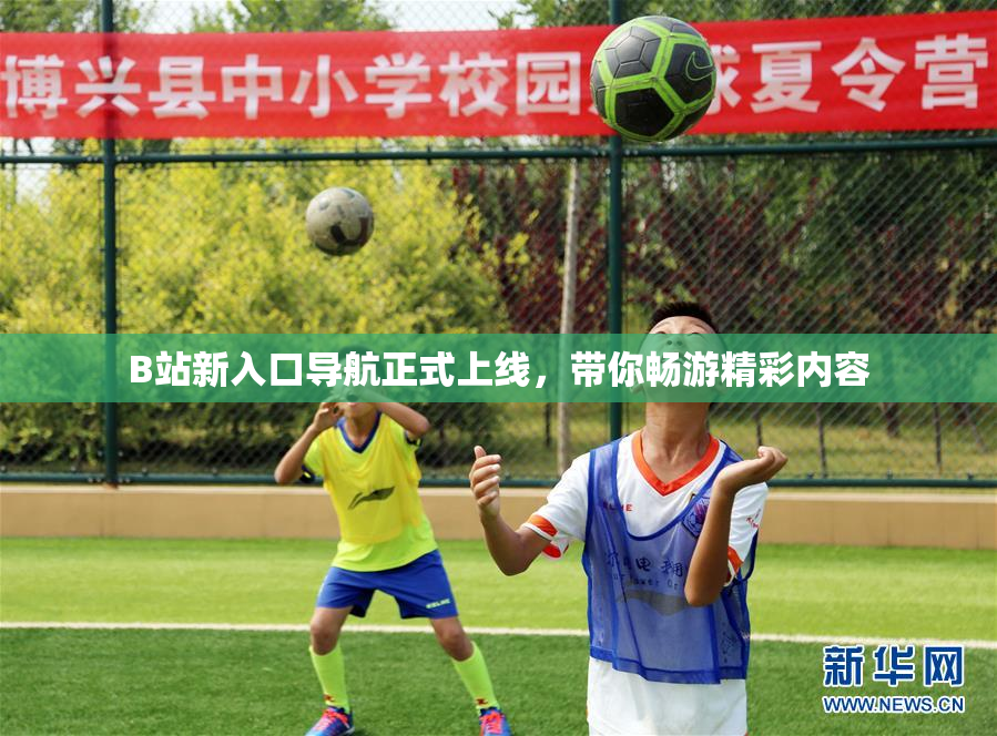B站新入口导航正式上线，带你畅游精彩内容
