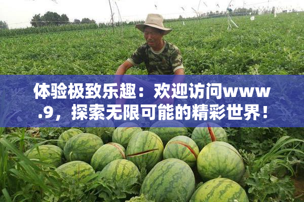 体验极致乐趣：欢迎访问www.9，探索无限可能的精彩世界！