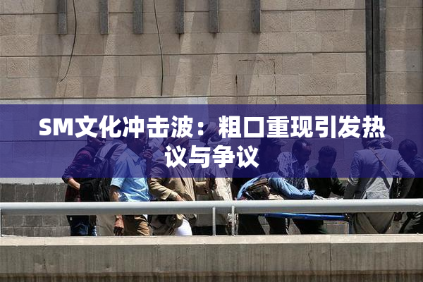 SM文化冲击波：粗口重现引发热议与争议