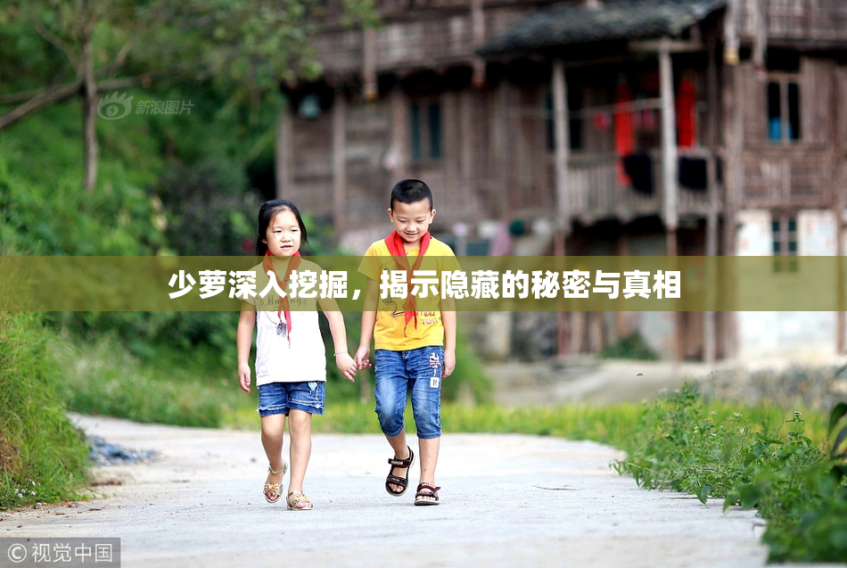 少萝深入挖掘，揭示隐藏的秘密与真相