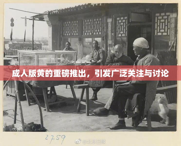 成人版黄的重磅推出，引发广泛关注与讨论