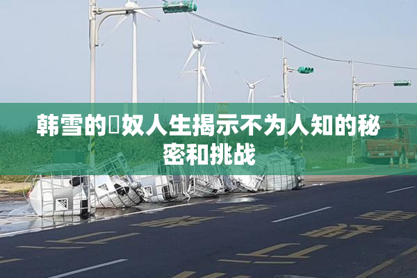 韩雪的婬奴人生揭示不为人知的秘密和挑战