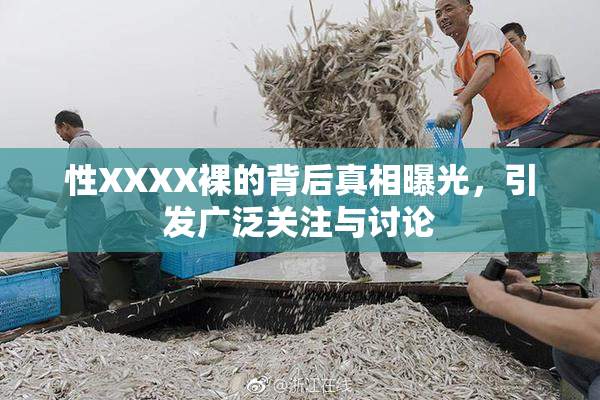 性XXXX裸的背后真相曝光，引发广泛关注与讨论