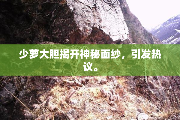 少萝大胆揭开神秘面纱，引发热议。