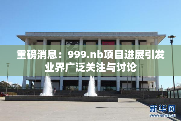 重磅消息：999.nb项目进展引发业界广泛关注与讨论