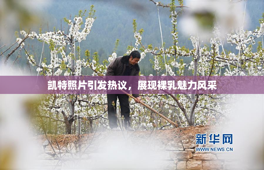 凯特照片引发热议，展现裸乳魅力风采