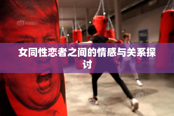 女同性恋者之间的情感与关系探讨