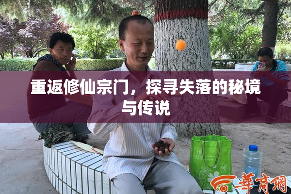 重返修仙宗门，探寻失落的秘境与传说