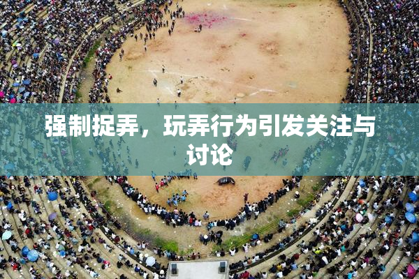 强制捉弄，玩弄行为引发关注与讨论
