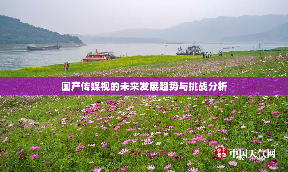 国产传媒视的未来发展趋势与挑战分析