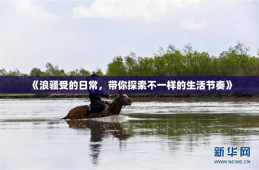 《浪骚受的日常，带你探索不一样的生活节奏》