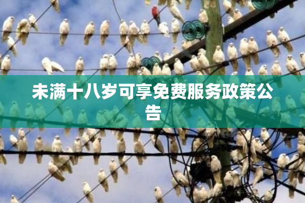 未满十八岁可享免费服务政策公告
