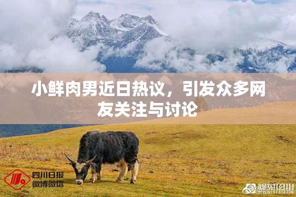 小鲜肉男近日热议，引发众多网友关注与讨论