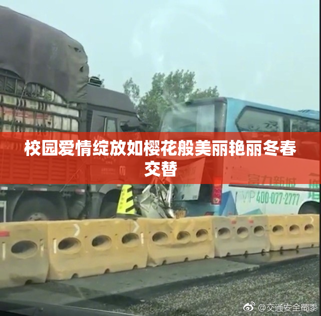 校园爱情绽放如樱花般美丽艳丽冬春交替