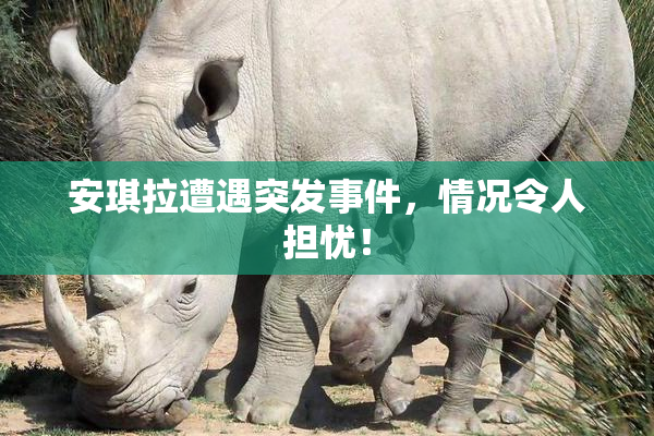 安琪拉遭遇突发事件，情况令人担忧！