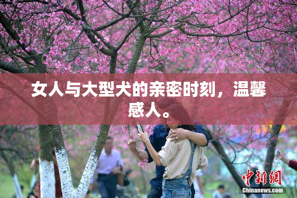 女人与大型犬的亲密时刻，温馨感人。