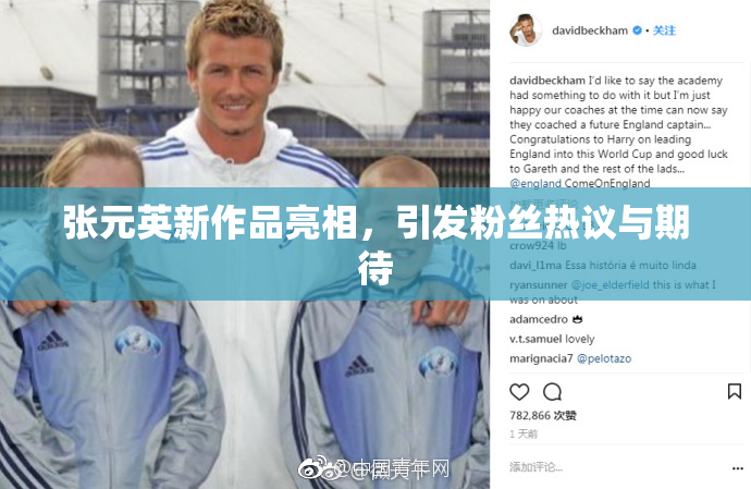 张元英新作品亮相，引发粉丝热议与期待