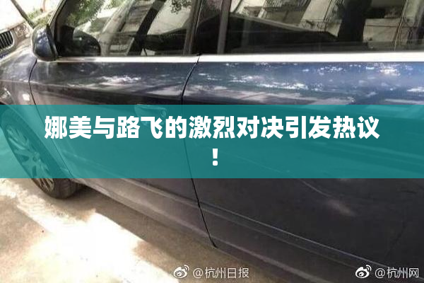 娜美与路飞的激烈对决引发热议！