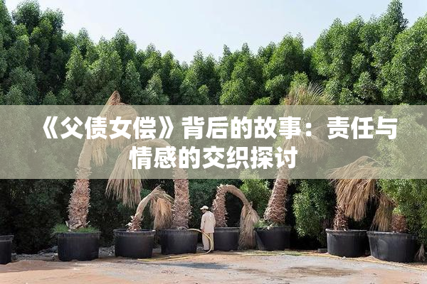 《父债女偿》背后的故事：责任与情感的交织探讨