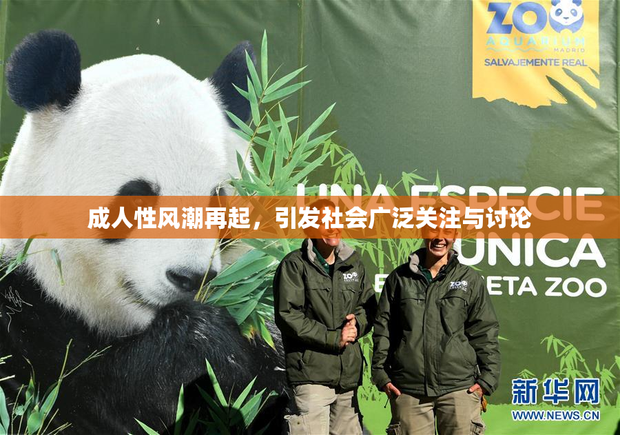 成人性风潮再起，引发社会广泛关注与讨论
