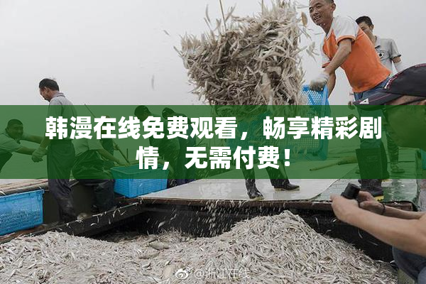 韩漫在线免费观看，畅享精彩剧情，无需付费！