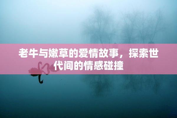 老牛与嫩草的爱情故事，探索世代间的情感碰撞