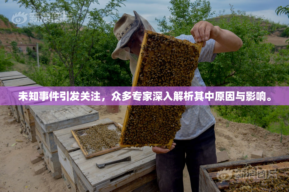 未知事件引发关注，众多专家深入解析其中原因与影响。