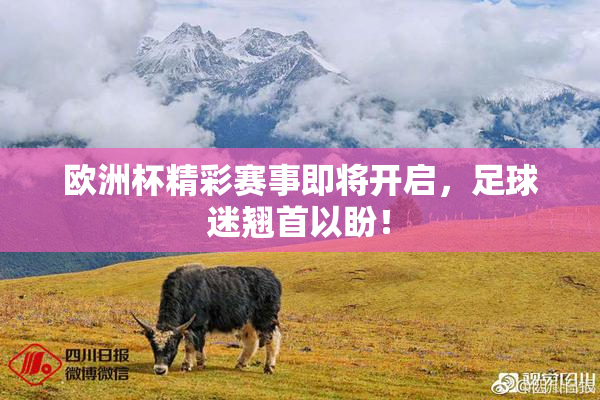 欧洲杯精彩赛事即将开启，足球迷翘首以盼！
