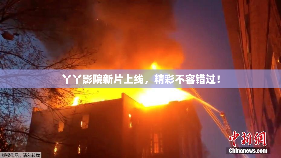 丫丫影院新片上线，精彩不容错过！