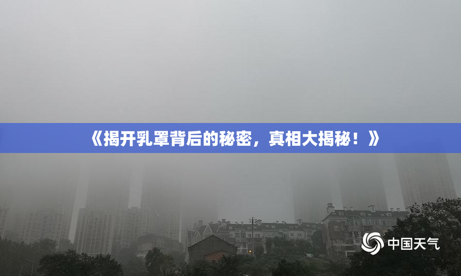 《揭开乳罩背后的秘密，真相大揭秘！》